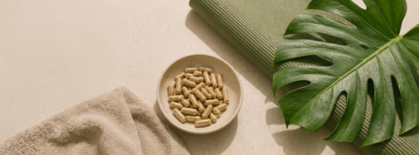 Why Not All Propolis Extracts Are Created Equal: A Guide to Choosing Quality