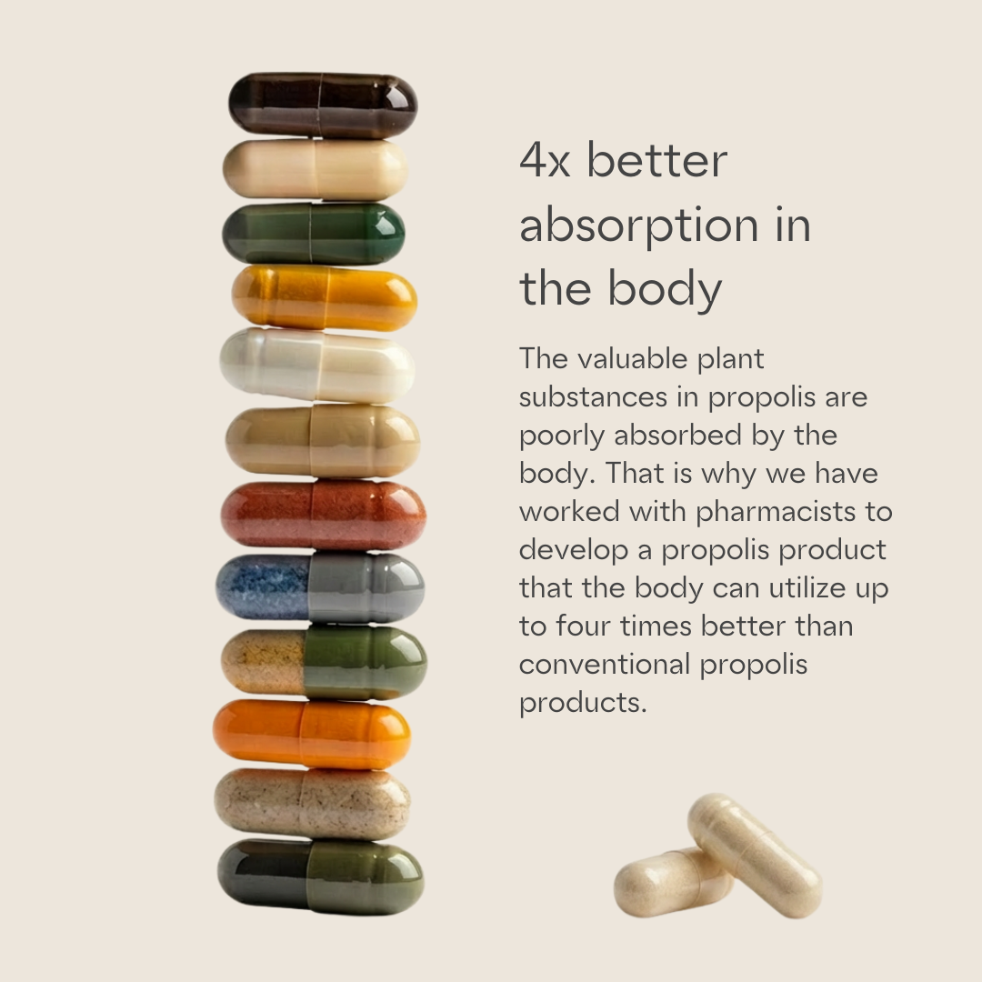 Propolis Immun Kapseln