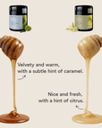 Blend Starter-Set
