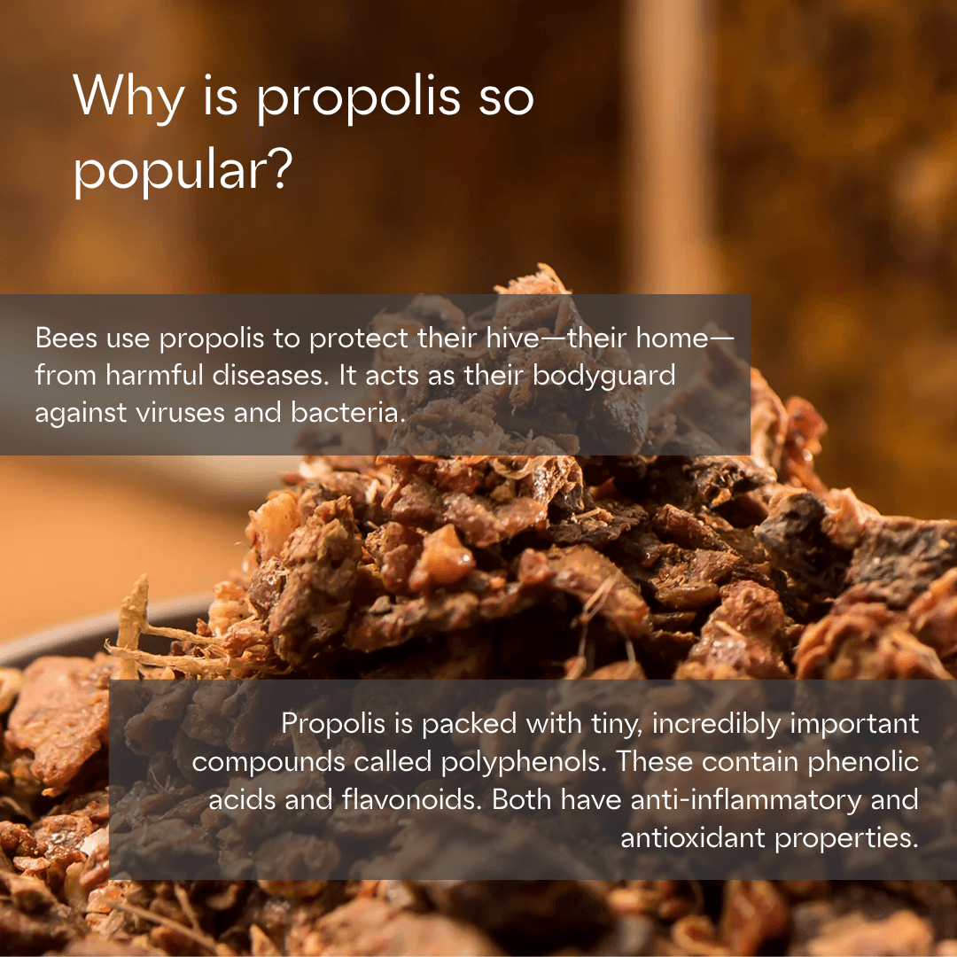 Capsule di Propolis Biologiche